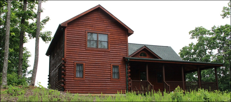 Professional Log Home Borate Application  Mitchell County, Georgia